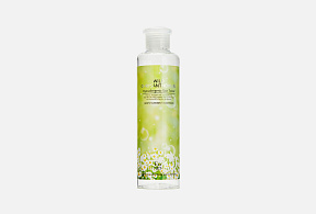 [ECO BRANCH] Тонер гипоаллергенный на основе экстракта хризантемы Chrysanthemum Skin Toner, 250мл