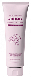 [Pedison] Маска для волос АРОНИЯ Institute-beaut Aronia Color Protection Treatment, 100мл