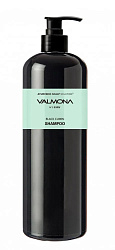 [VALMONA] Шампунь для волос АЮРВЕДА Ayurvedic Scalp Solution Black Cumin Shampoo, 480мл